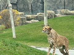 -北京野生动物园