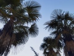 -咸宁万豪温泉谷度假区