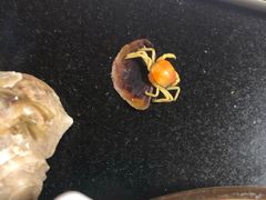 -正宗天津烧麦馆(柳州路店)