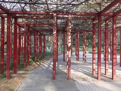 -西安市长乐公园