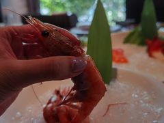 刺身甜虾-大渔之观(安贞店)