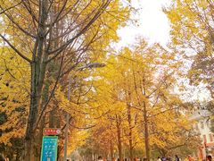 -四川大学(望江校区)