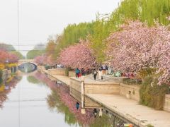 -元大都城垣遗址公园