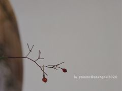 -BLACKSHEEP ESPRESSO(建国中路店)