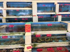 -旺富东海大酒楼(海鲜街店)