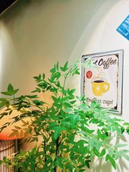 -变美丽半永久纹眉连锁·机器野生眉•洗眉