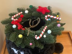 -PANDA QUEEN熊猫女王(成都店)