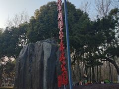 -合肥滨湖国家森林公园