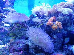 -成都浩海立方海洋公园