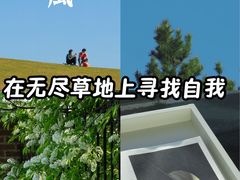 -莫子山公园