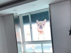 -爱侣宠医·鹦鹉专科·小型哺乳类·异宠专科(灵石路店)