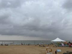-碧海金沙