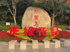 -野狸岛