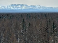 -峡谷浮石林景区