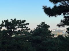 -北京西山国家森林公园