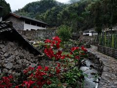 -MOJ coffee(瓯海泽雅水碓坑店)