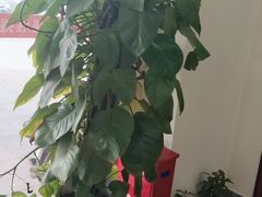 -张钰强中医正骨推拿连锁(唐家人才公寓店)