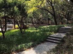 -徐家汇源景区-衡山公园