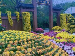 -南山植物园