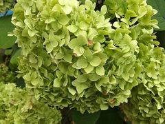 -维乐口腔医院(福清院)