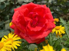 -重庆中央公园(渝北区)