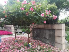 -荆川公园