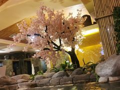 -汤泉良子·沐足·颂钵疗愈·SPA(珠江新城店)