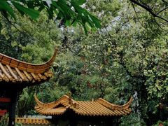 -广州兰圃