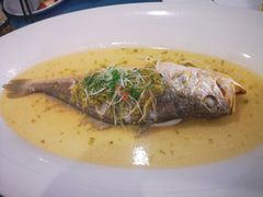 雪菜竹笋丝蒸生态大黄鱼-麟1929(外滩店)