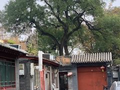 -后海公园