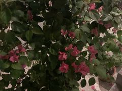 -钰田大院·怀柔地道农家菜·烤虹鳟鱼(雁栖湖店)