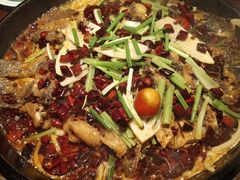 -老板恋上鱼(高新万达店)