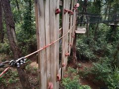 -芦仙山景区-飞越丛林探险乐园