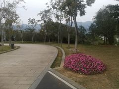 -牛岗山公园