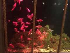 -老船坞餐厅(北京亚洲大酒店 )