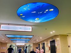 -珠海市中西医结合医院