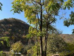 -水峪民俗村
