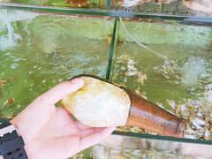 -四海鲜渔家菜(黄金海岸店)