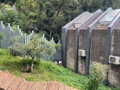 -黔灵山公园