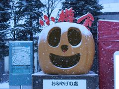 -小樽运河广场(運河プラザ)