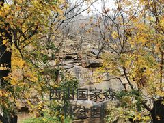 -北京西山国家森林公园