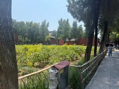 -洛阳白马寺