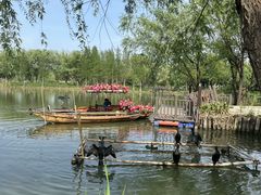 -长兴太湖图影湿地文化园
