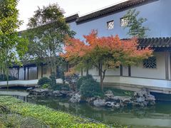-秋霞圃