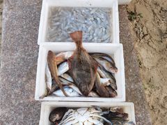 -ChanDu躔度咖啡(灯塔店)