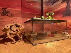 -多彩贵州城极地海洋世界