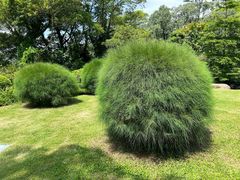 -东莞植物园