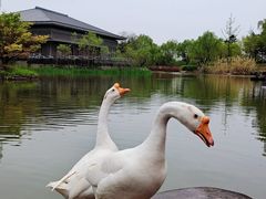 -鹦鹉寺公园