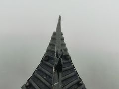 -蔡伦竹海