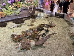 -Zoolung Zoolung动物主题公园(海信广场店)